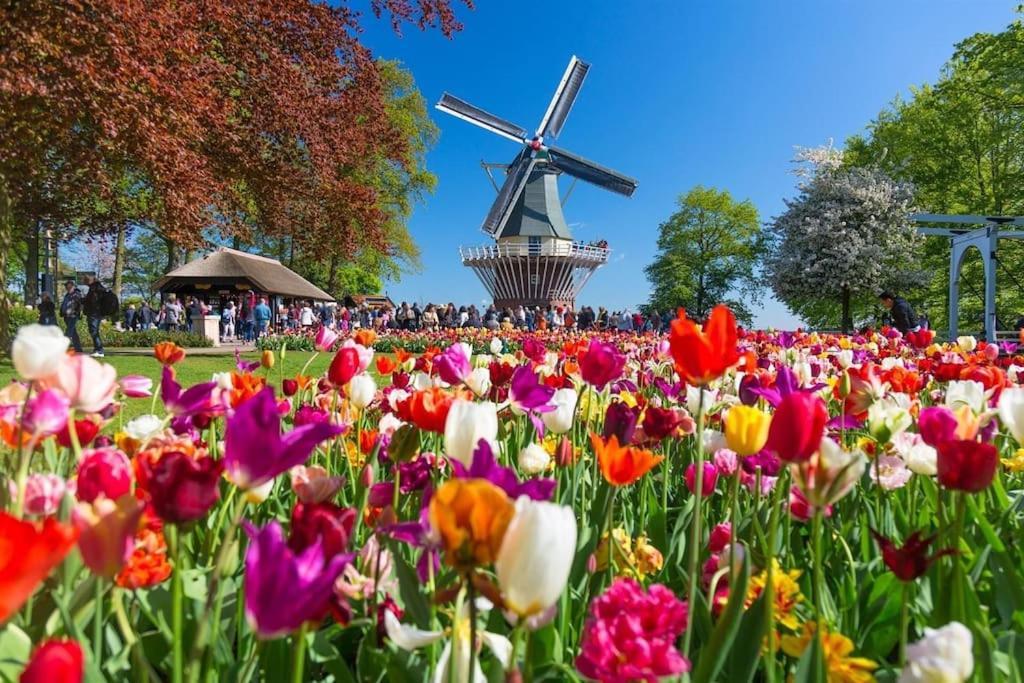 The West Wing Bloemendaal Daire Dış mekan fotoğraf